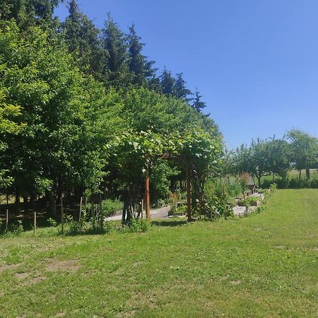 Święty Spokój Tuchlin (Warmian-Masurian) Exterior foto